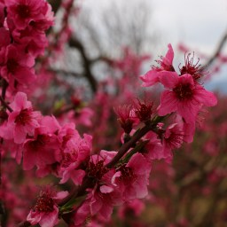 Vom Ankommen und archäologischen Stätten