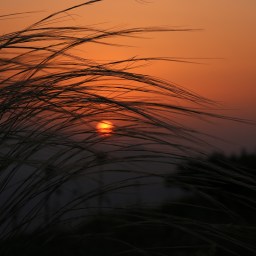 Manchmal braucht man etwas Zeit.