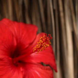 Unterwegs im Geschichtsbuch der Türkei